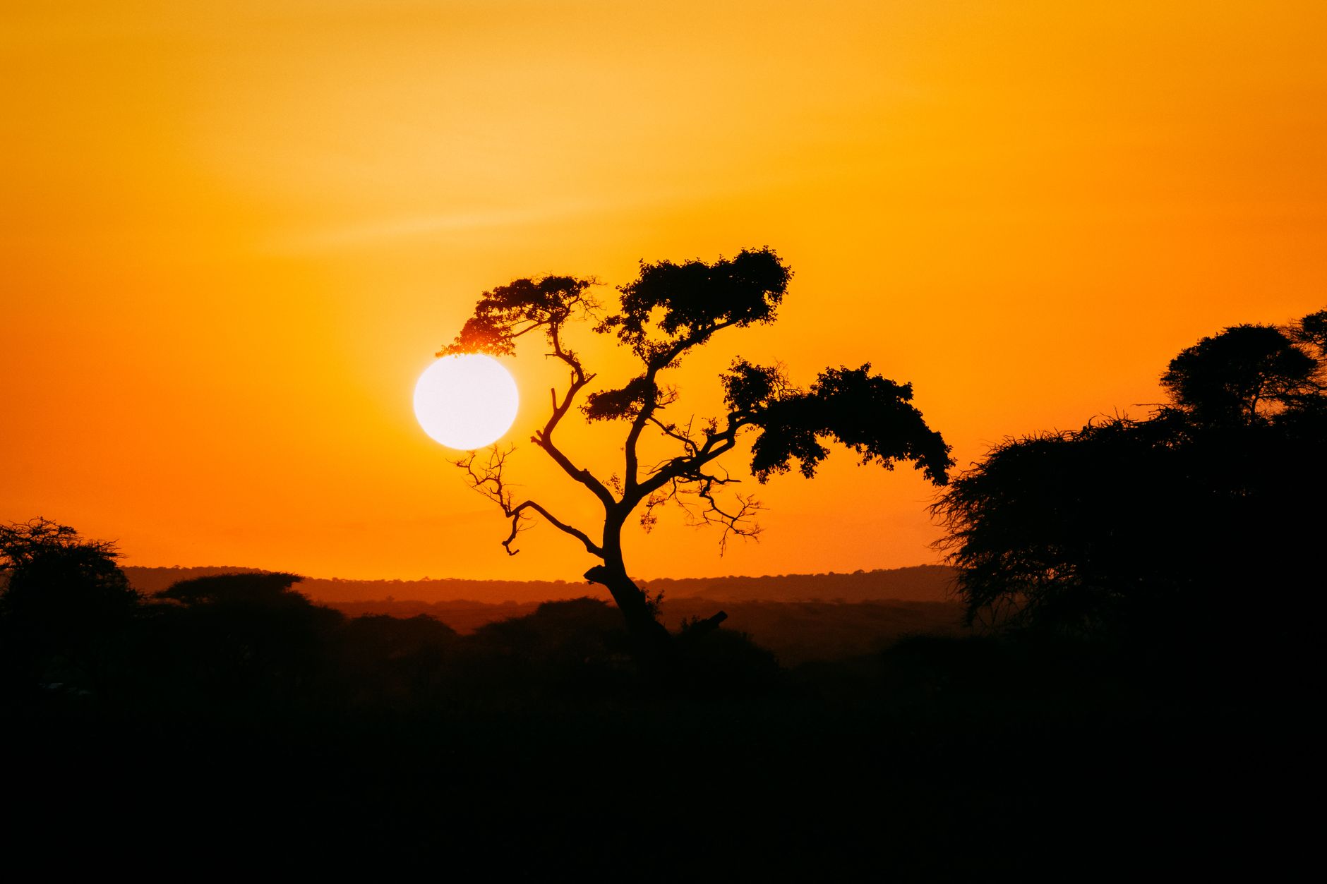 Afrika manzarası ve gün batımı