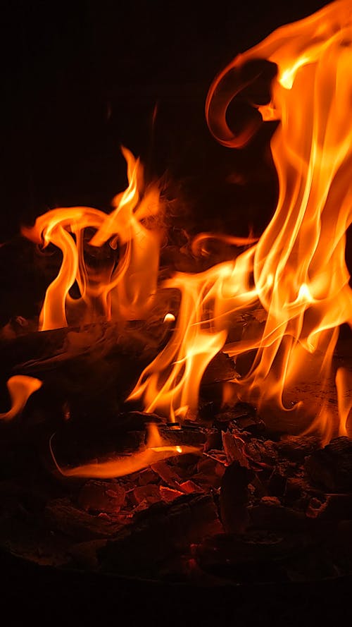 A Blazing Fire in Close-up Shot
