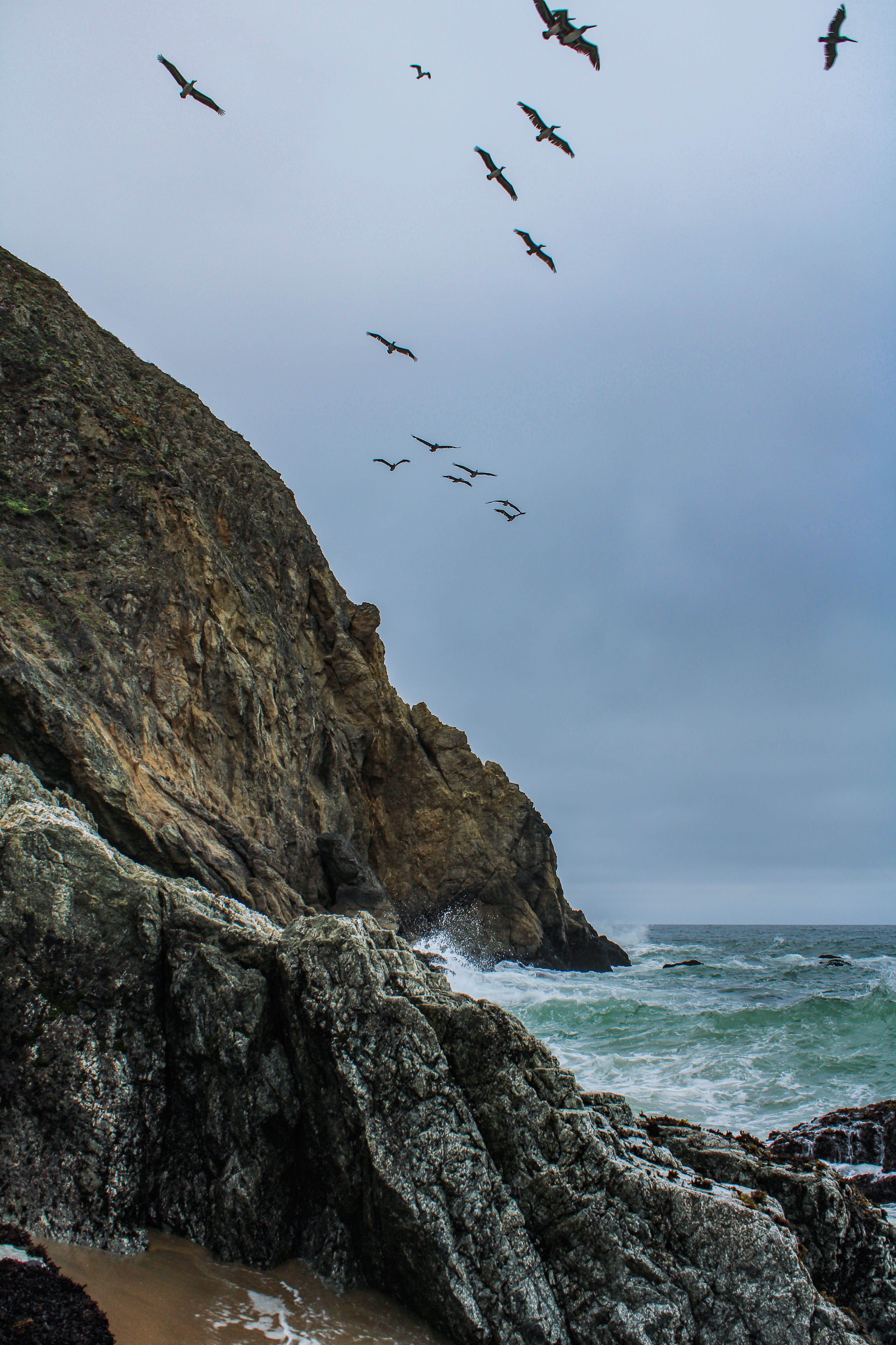 Dramatic coastal scene with a rocky cliff, crashing waves, and birds in flight.