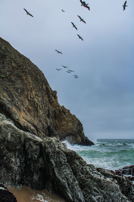 Dramatic coastal scene with a rocky cliff, crashing waves, and birds in flight.