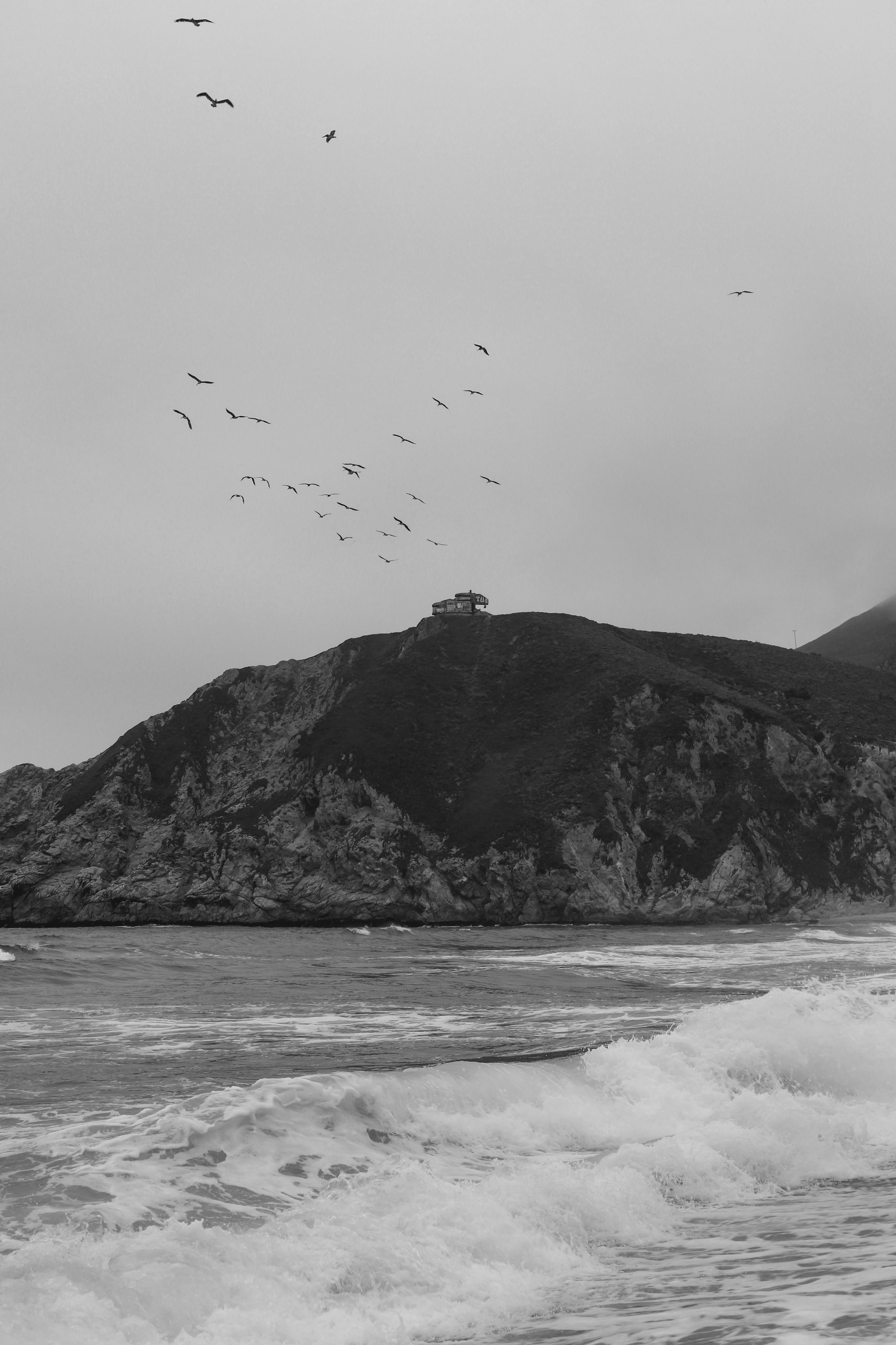 Dramatic coastal scene with waves and birds flying over rocky hills in monochrome.
