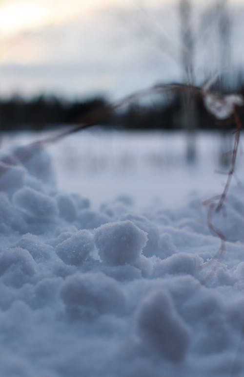 Бесплатное стоковое фото с зима, зимний фон, сильный снегопад