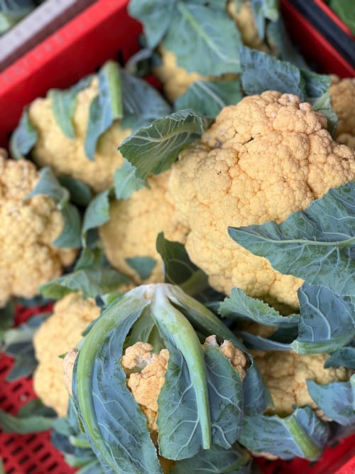 Close-up of a Bunch of Cauliflower in Shopping Basket 