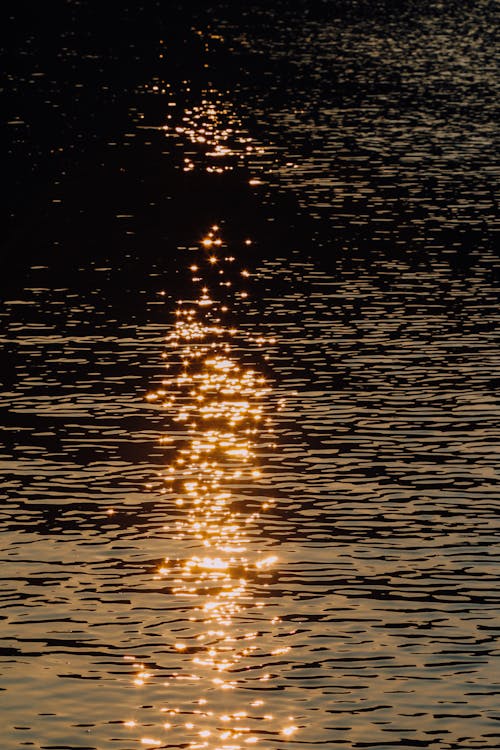 Sunlight Reflecting in River 