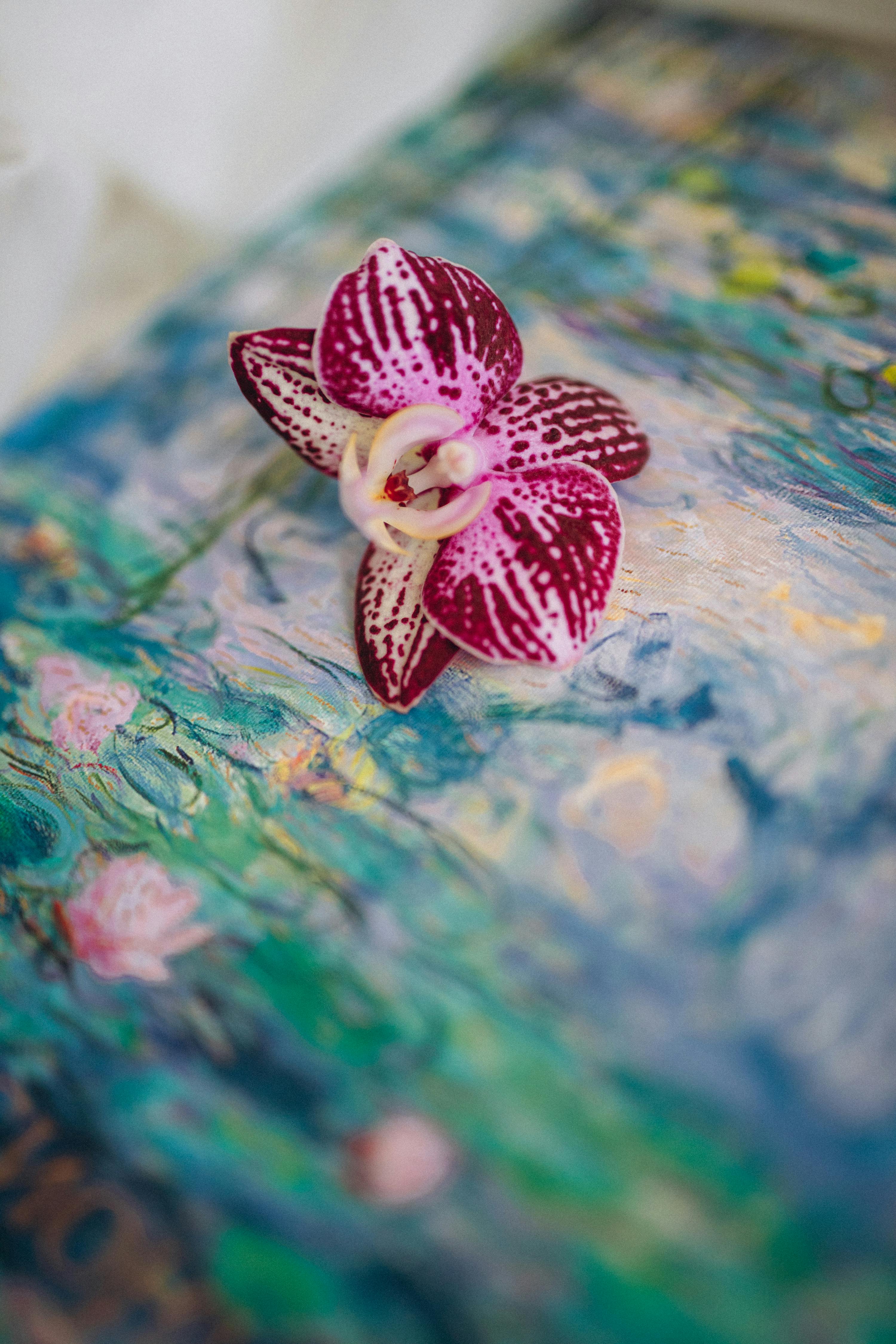 Photo by Alena Yanovich