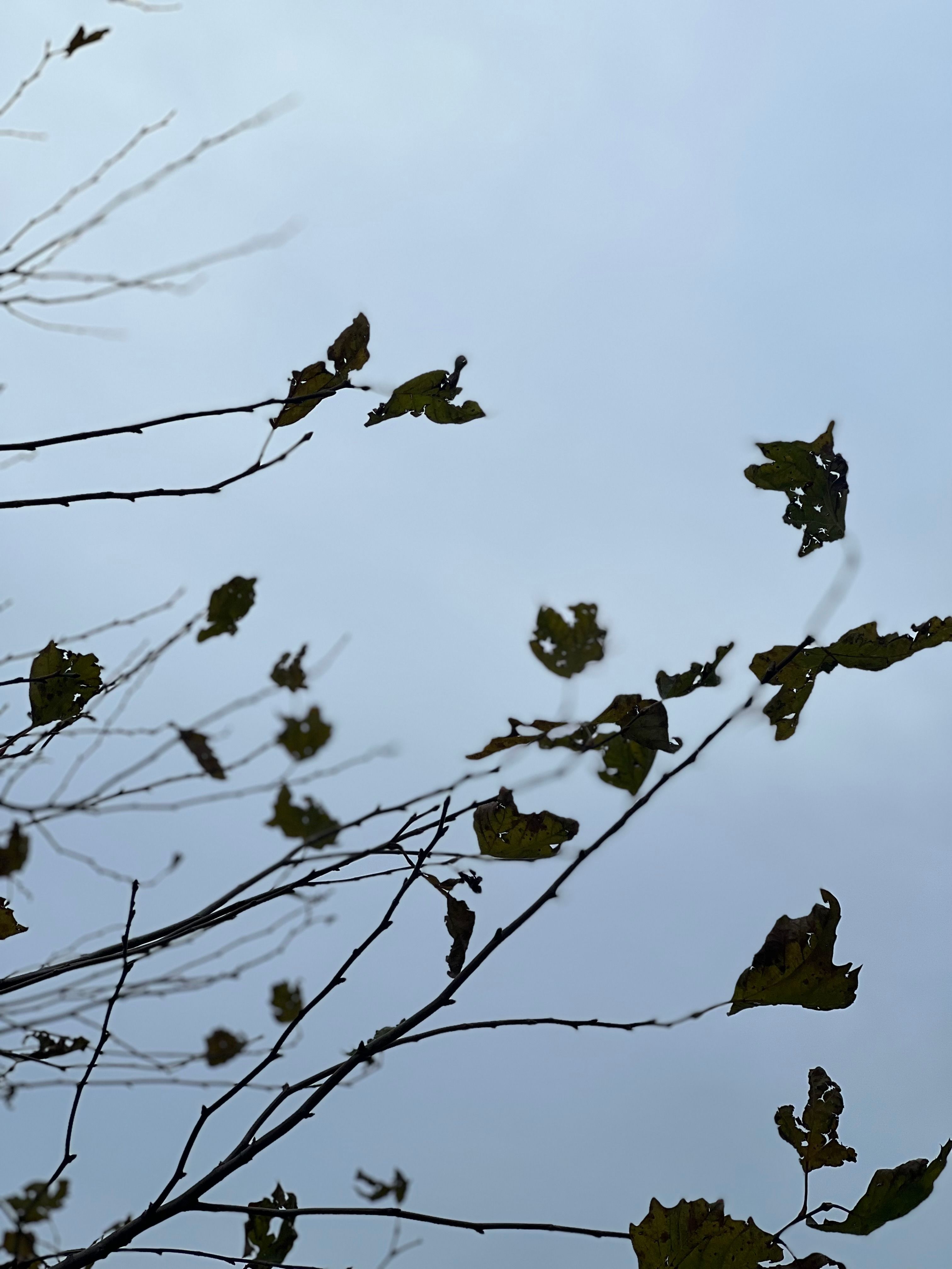 Depressing Silhouette Photos, Download The BEST Free Depressing ...