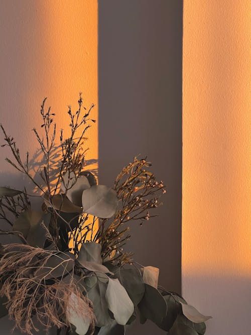 A Bouquet of Dry Flowers and Leaves Standing next to a Wall 