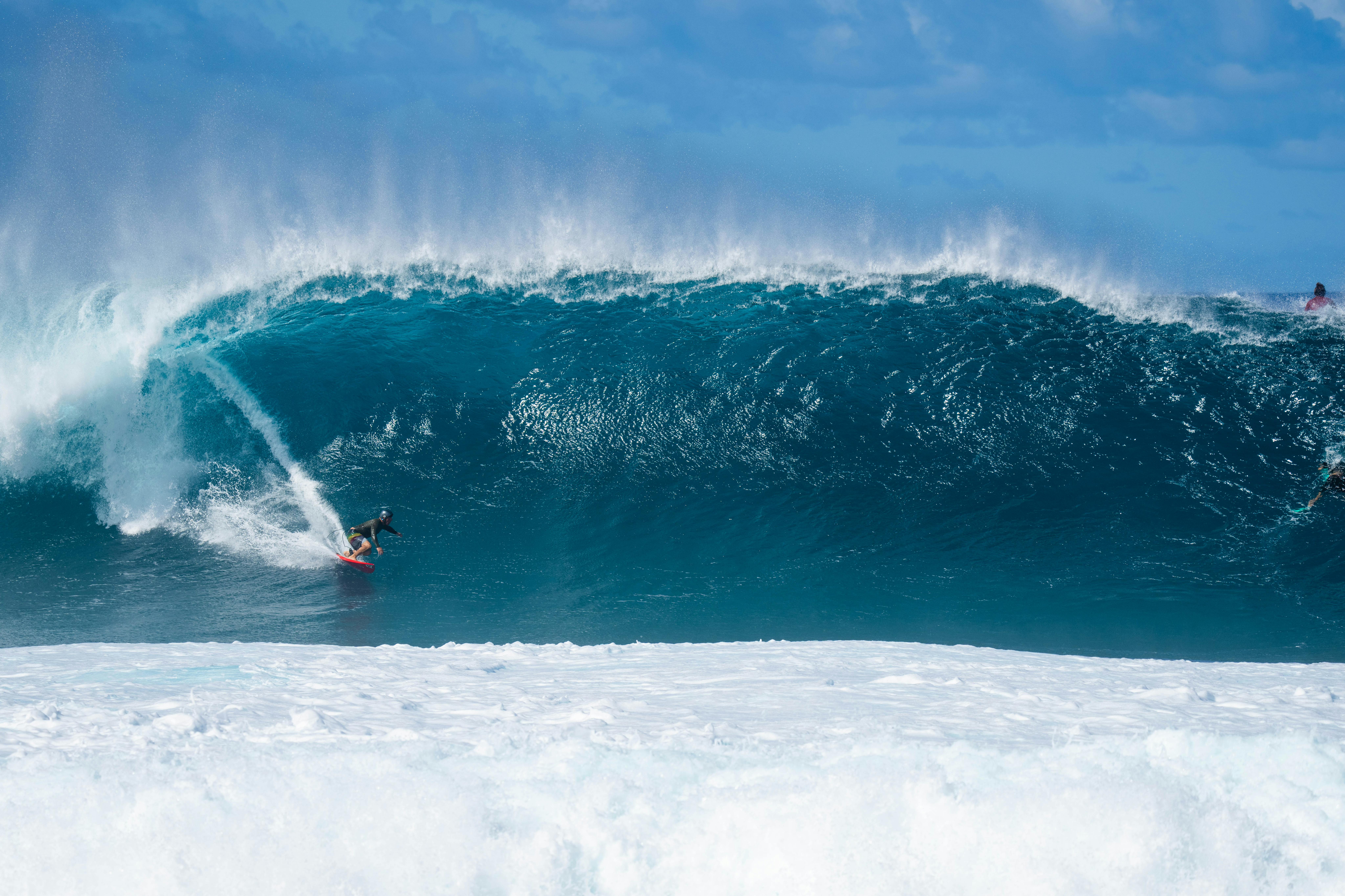 Photo by Kammeran Gonzalez-Keola