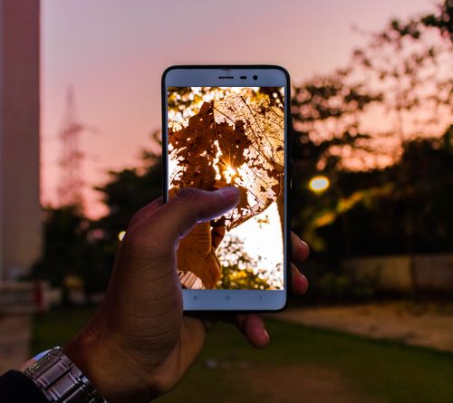 Free Hand holding smartphone with a leaf photo at sunset, blending technology with nature. Stock Photo