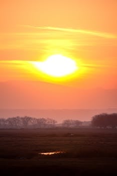 Beautiful sunrise over a serene field with a vibrant orange sky and silhouette of trees.