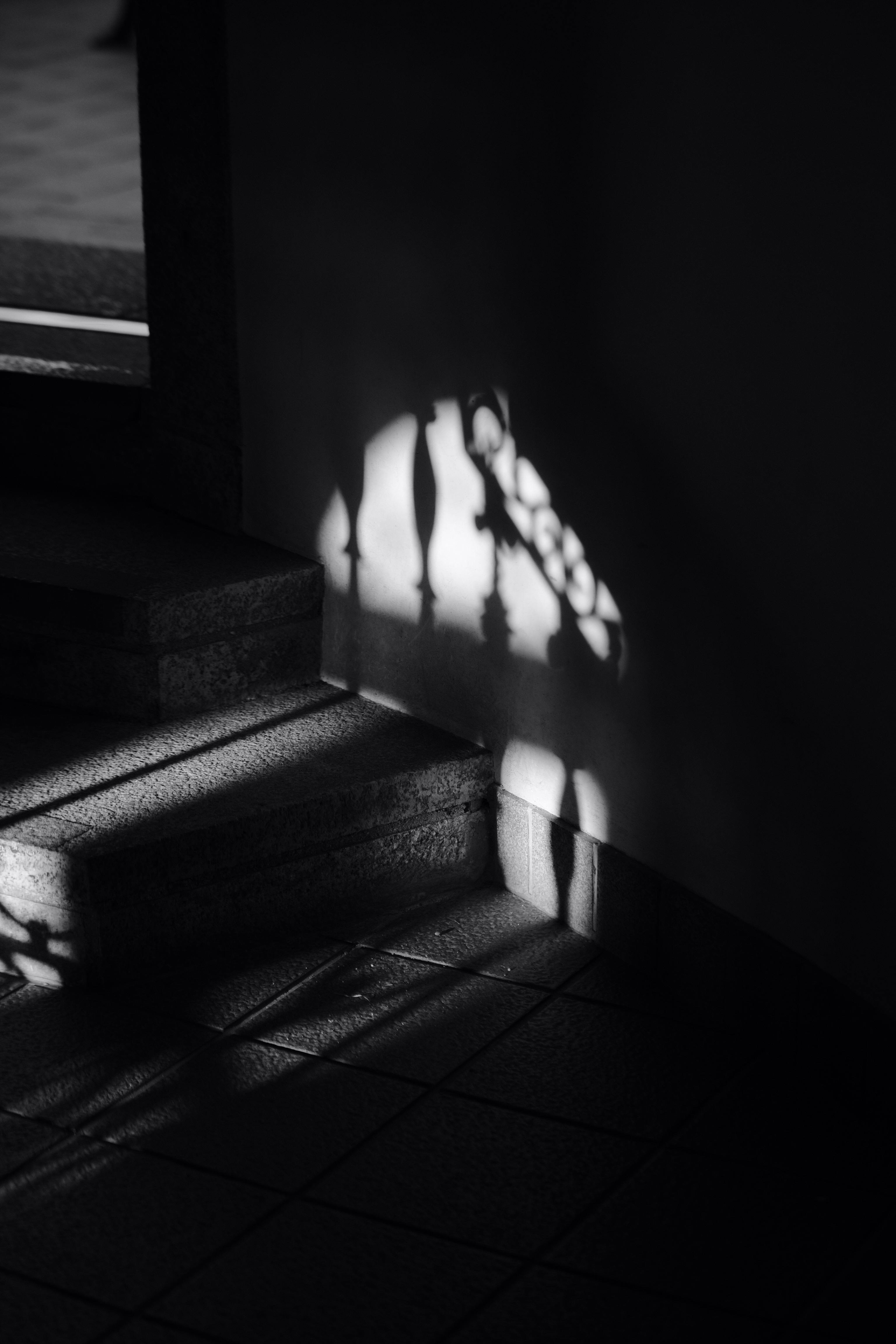 dark room photography steps