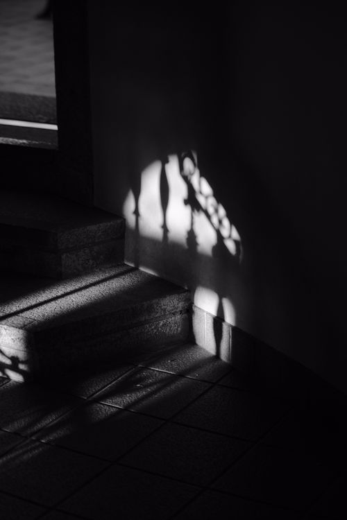 Free Eerie black and white image of shadow patterns on concrete steps creating a mysterious ambiance. Stock Photo