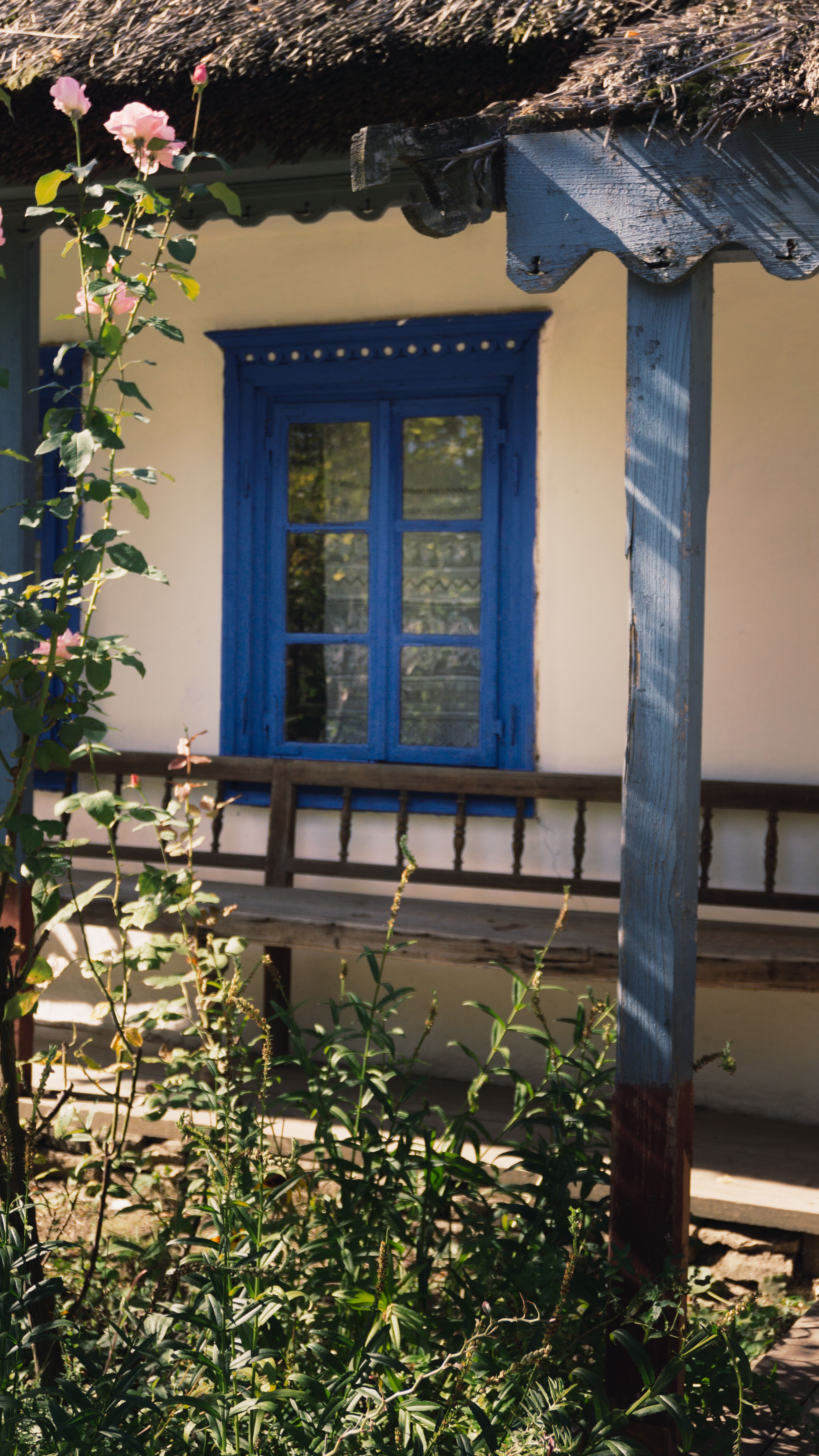 Beautiful rustic house featuring a vibrant blue window and lush greenery.