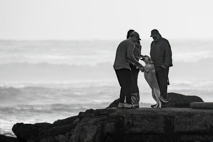 Family Standing On A Viewing Deck