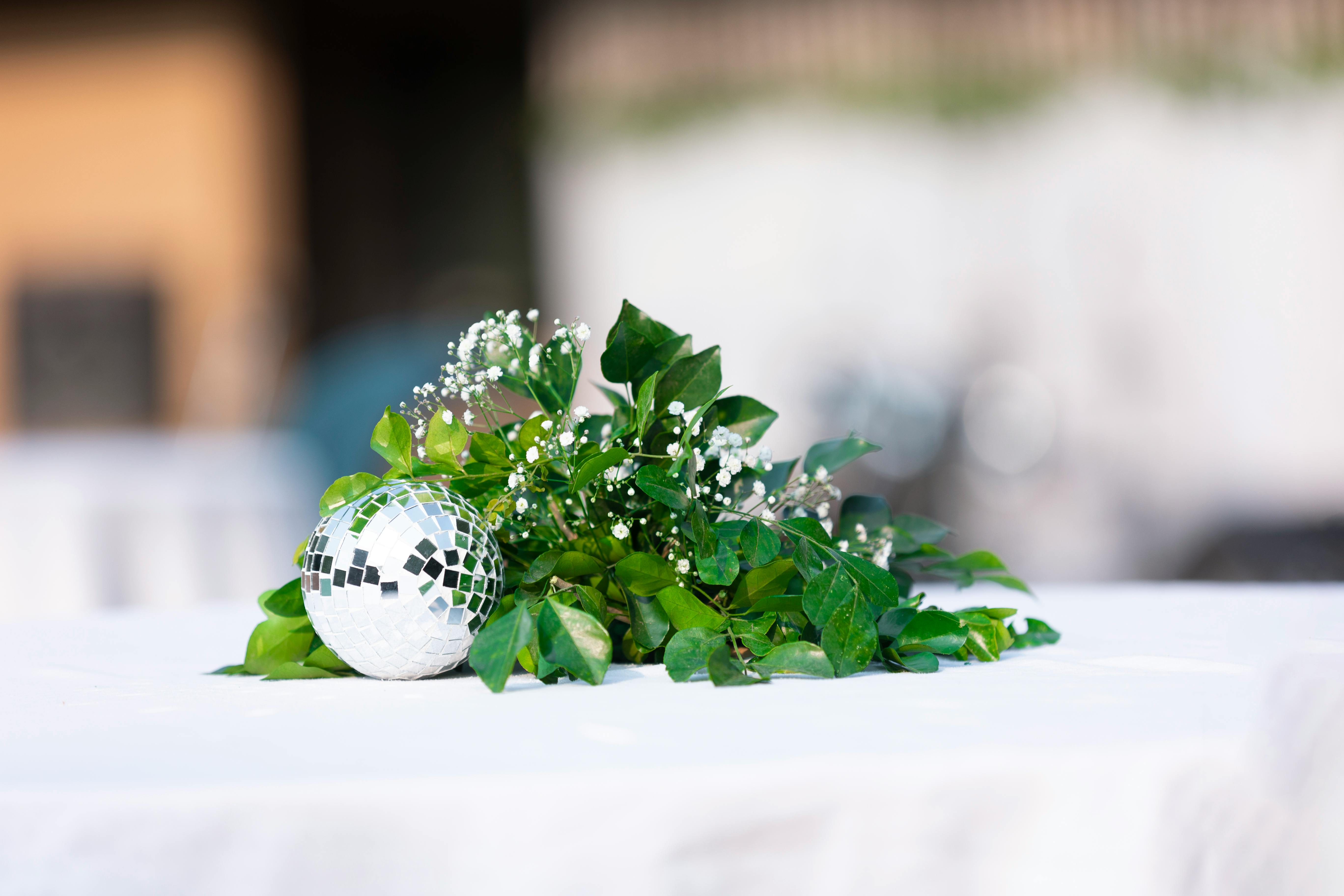 Photo by Prince  Nature