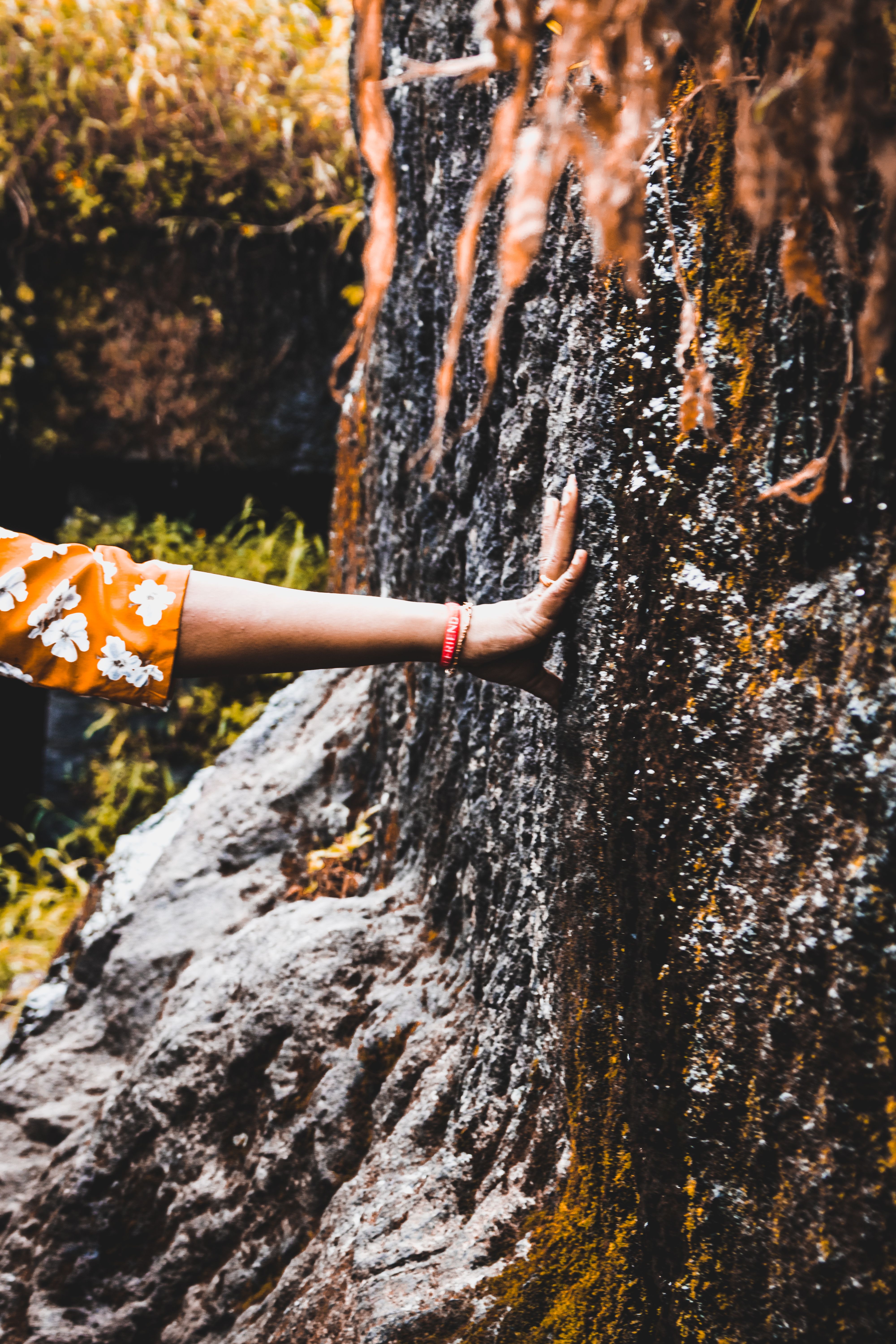 Free Stock Photo From Sum it Pexels