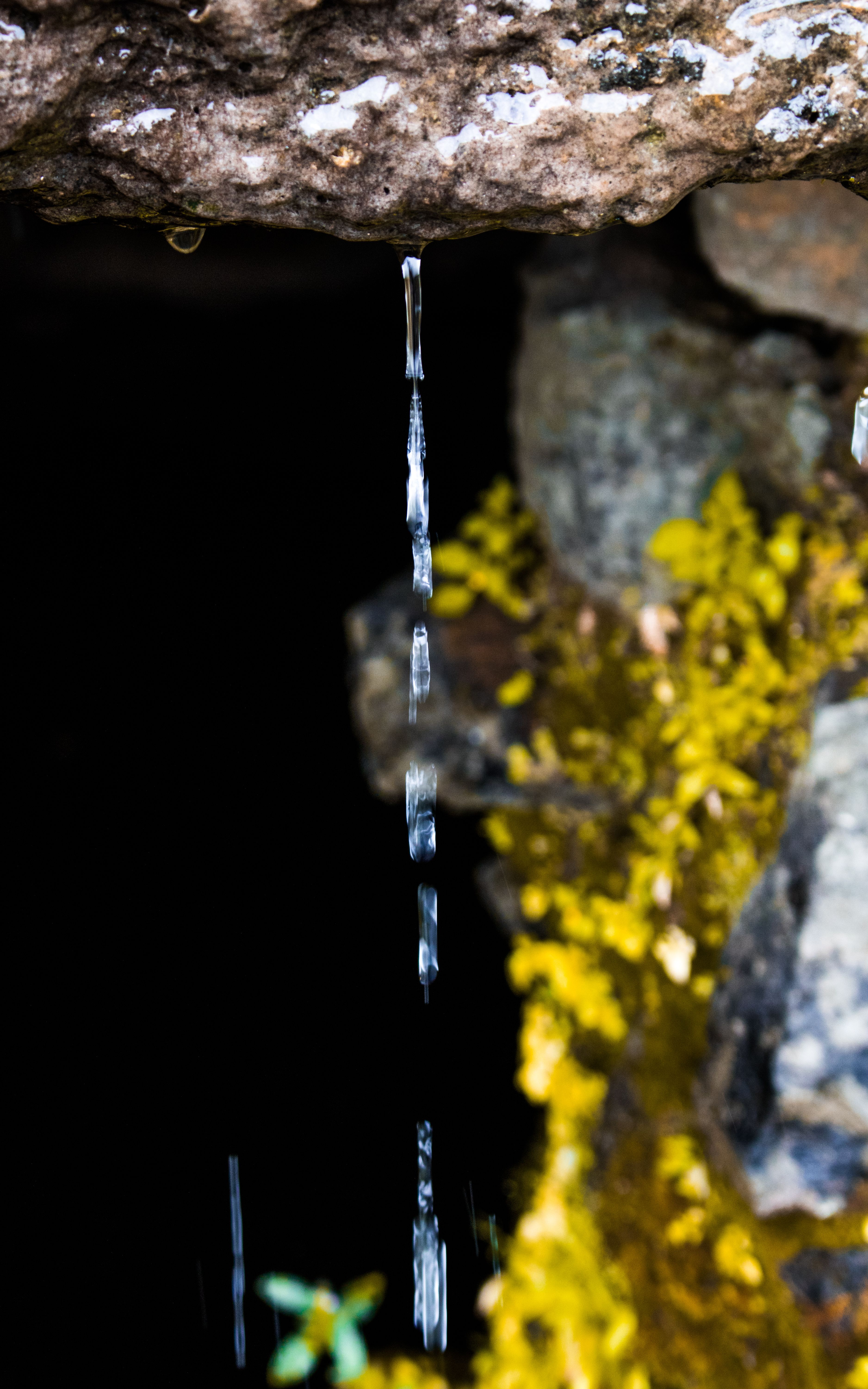 Free Stock Photo From Sum it Pexels