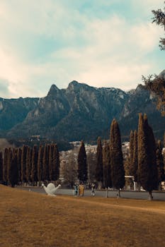 Scenic landscape of the Carpathian Mountains with towering trees in Bușteni, Romania.