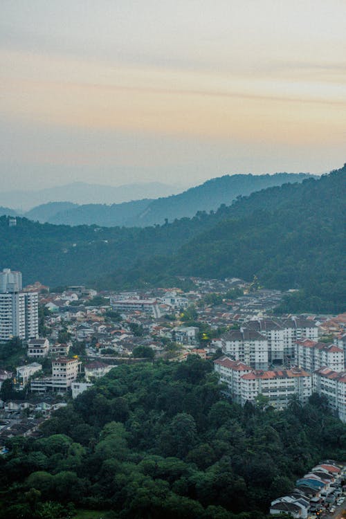 An Aerial Photography of City Buildings Near the Mountain with Trees