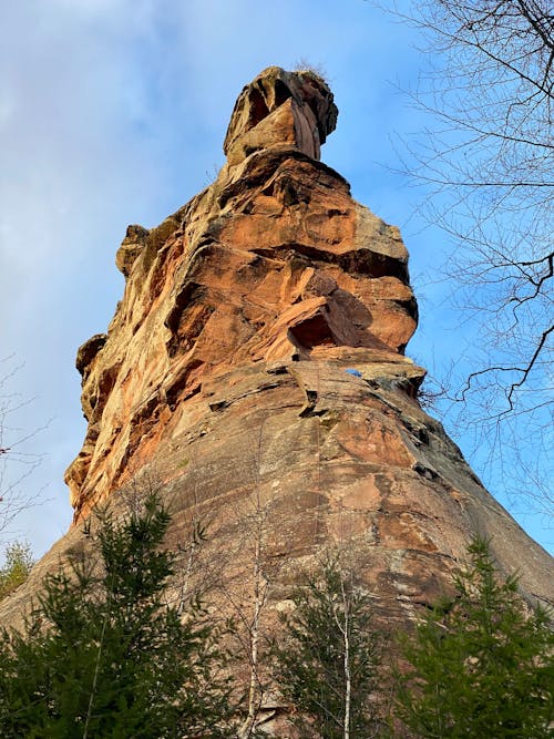 Immagine gratuita di alberi, cloud, eroso