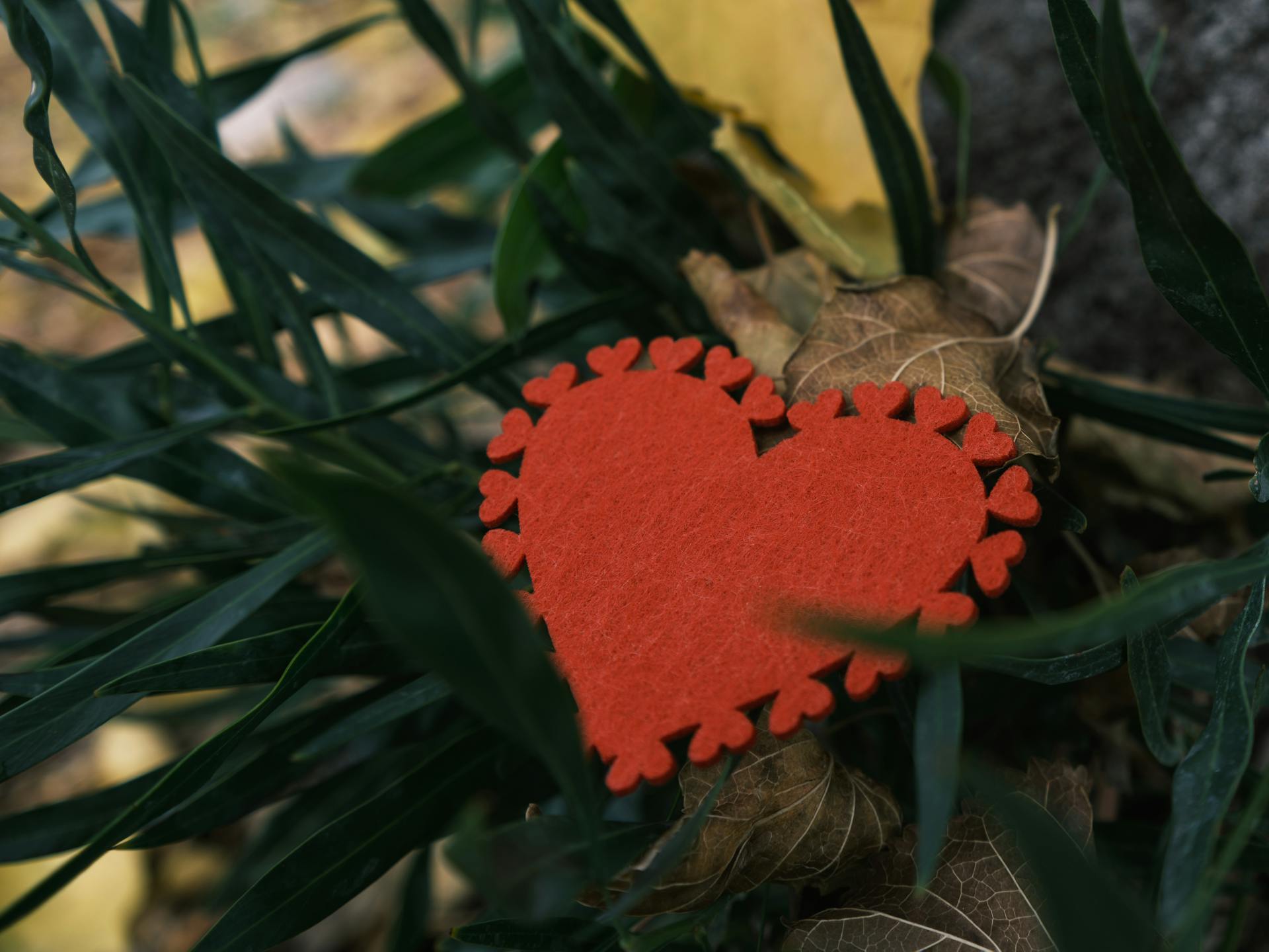 Close-up of a red heart-shaped felt decoration placed amidst green leaves, perfect for Valentine's Day themes.