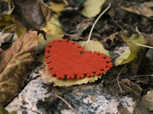 Free A red felt heart lies among fallen autumn leaves, symbolizing love and nature. Stock Photo