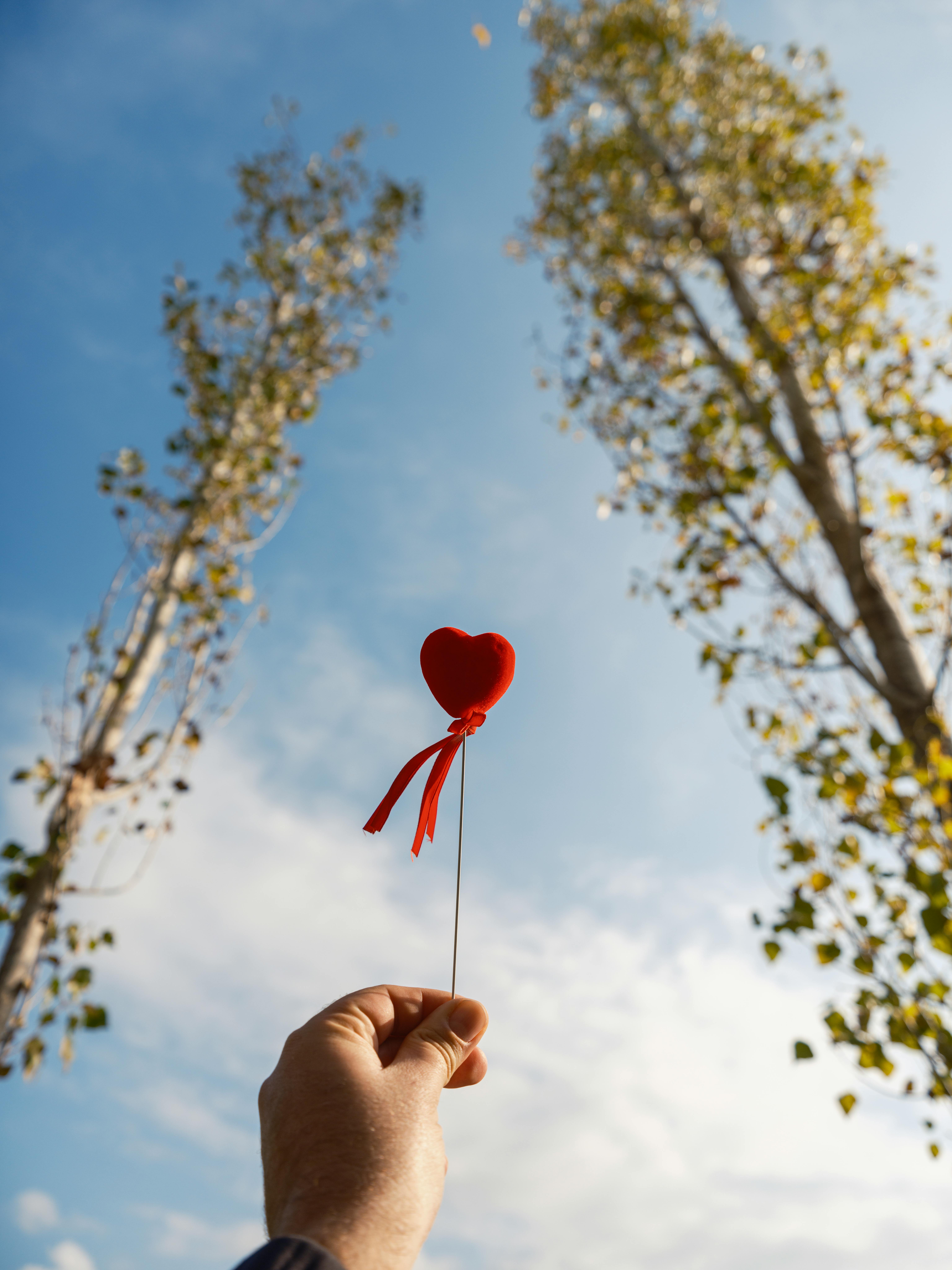 A hand holds a heart-shaped lollipop with a red ribbon against a bright blue sky and trees.