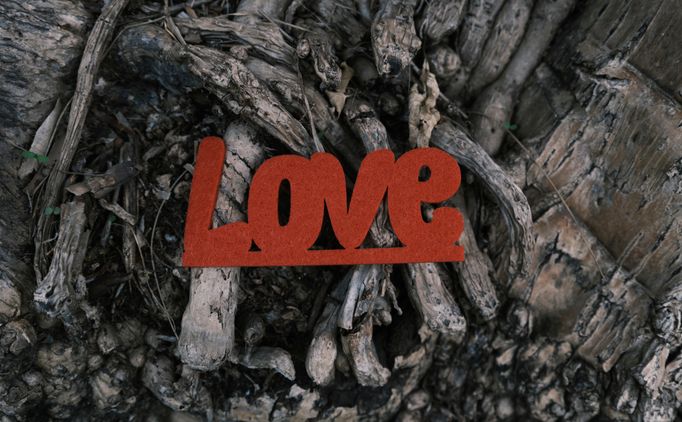 couples celebrating love in latin culture