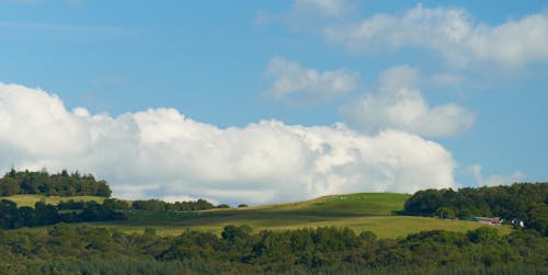 Green Field