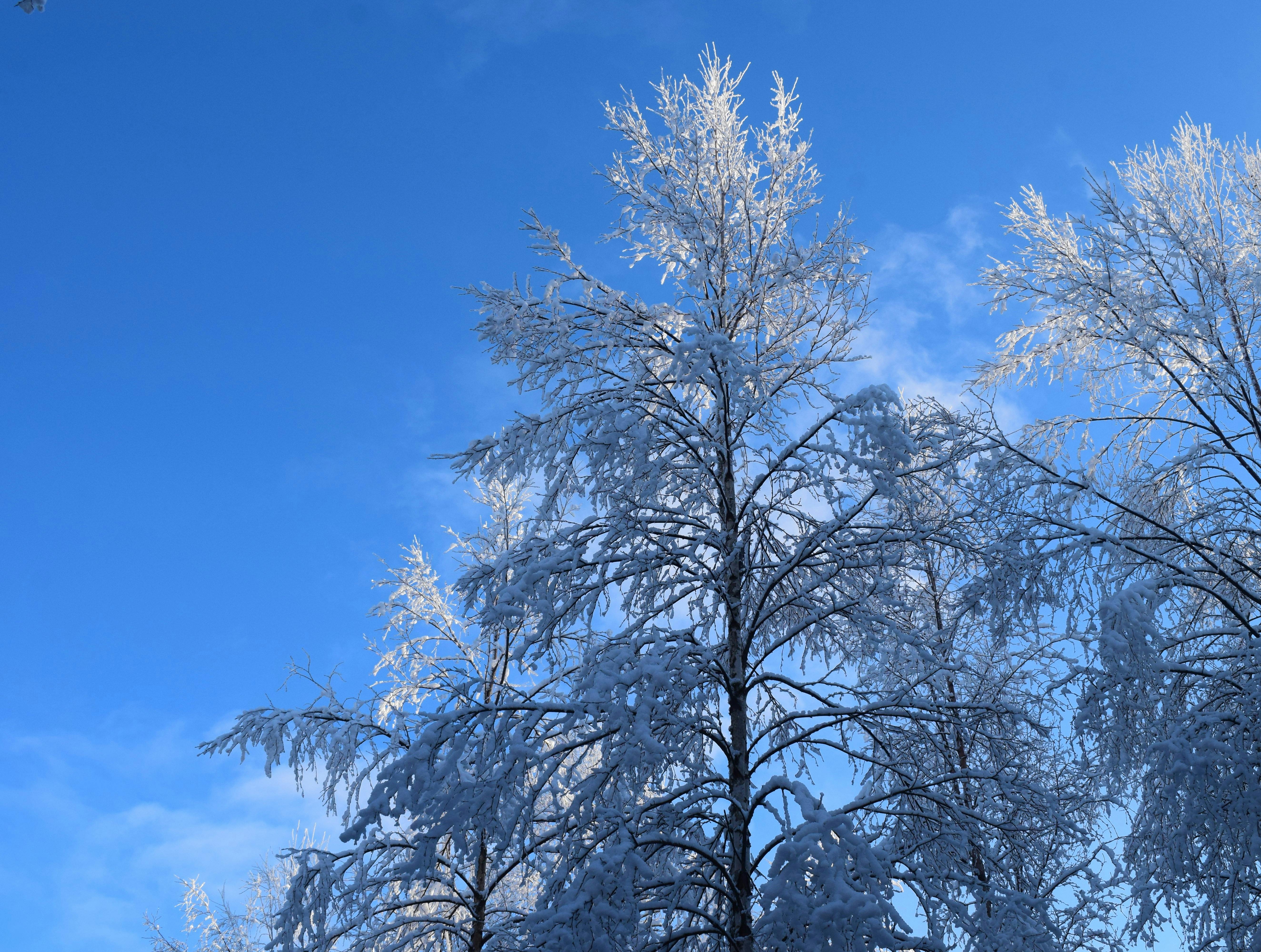 2月公益彩券賺47億！第5屆累積盈餘達369億 🔥💰