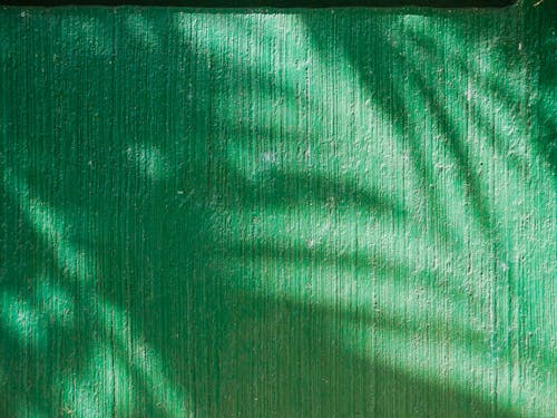 Gratis lagerfoto af baggrund, grøn væg, ru