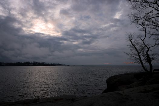 A serene seascape at twilight with dramatic clouds and silhouetted trees creating a moody atmosphere.