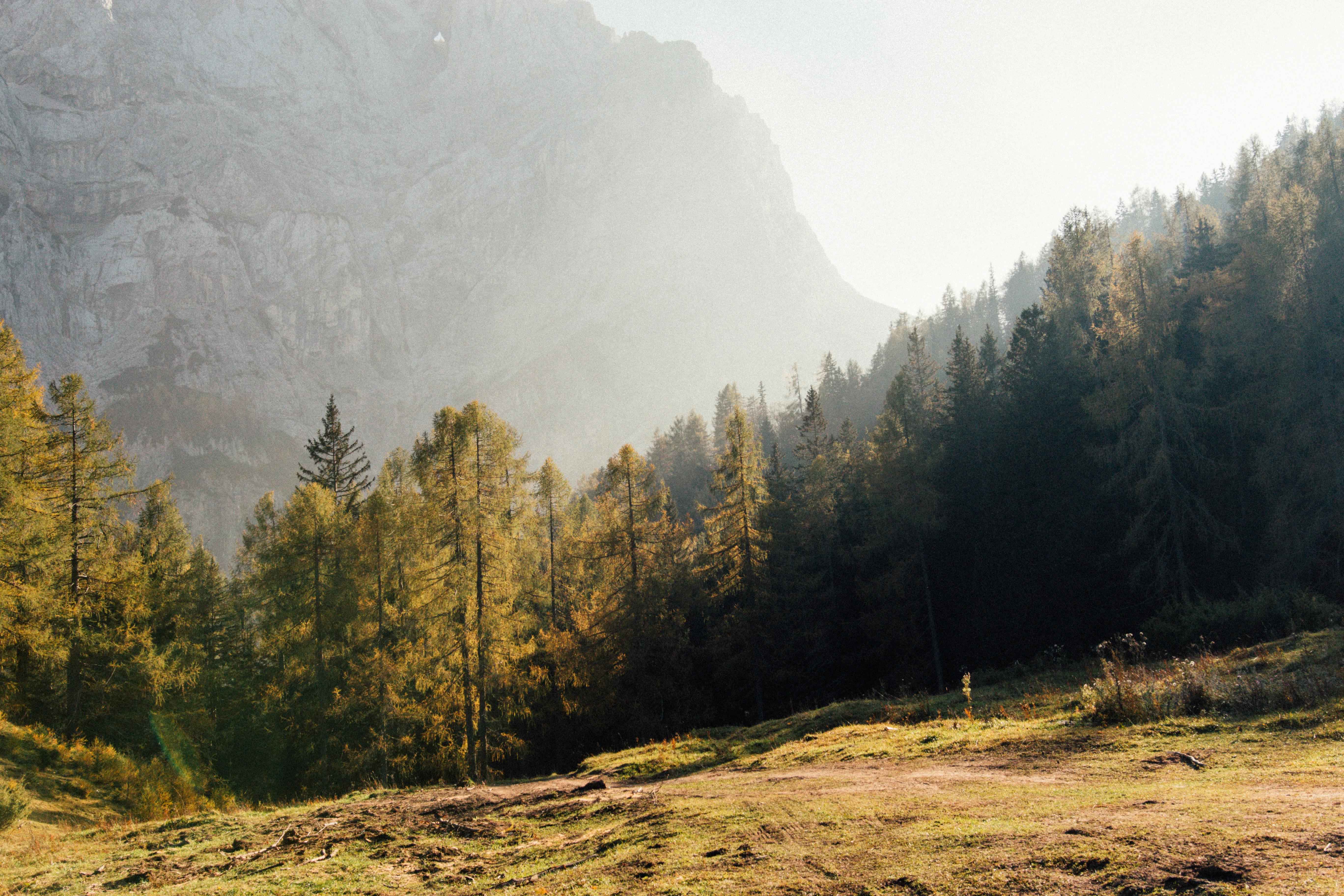 Aesthetic Wallpaper 4K Landscape Grass field 1405