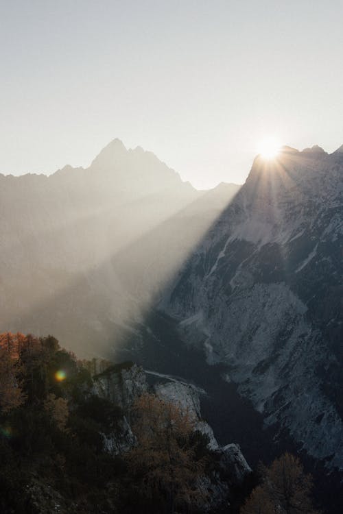 Základová fotografie zdarma na téma Alpy, cestování, dřevo