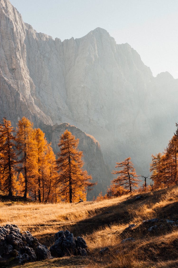 Autumn Landscape With Golden Trees At Julian Alps, Slovenia, Europe