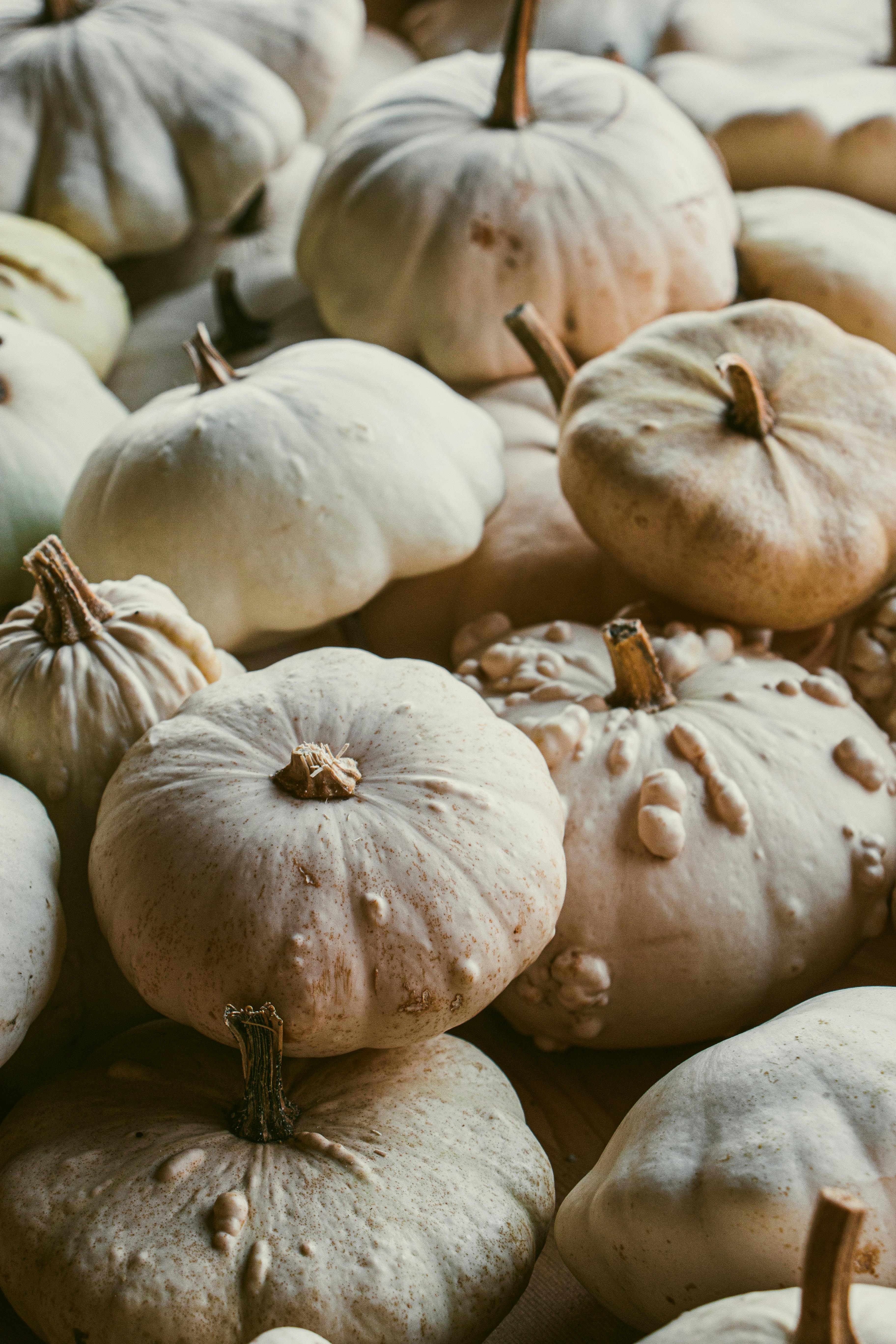A pile of ornamental white pumpkins perfect for autumn and Halloween decoration.