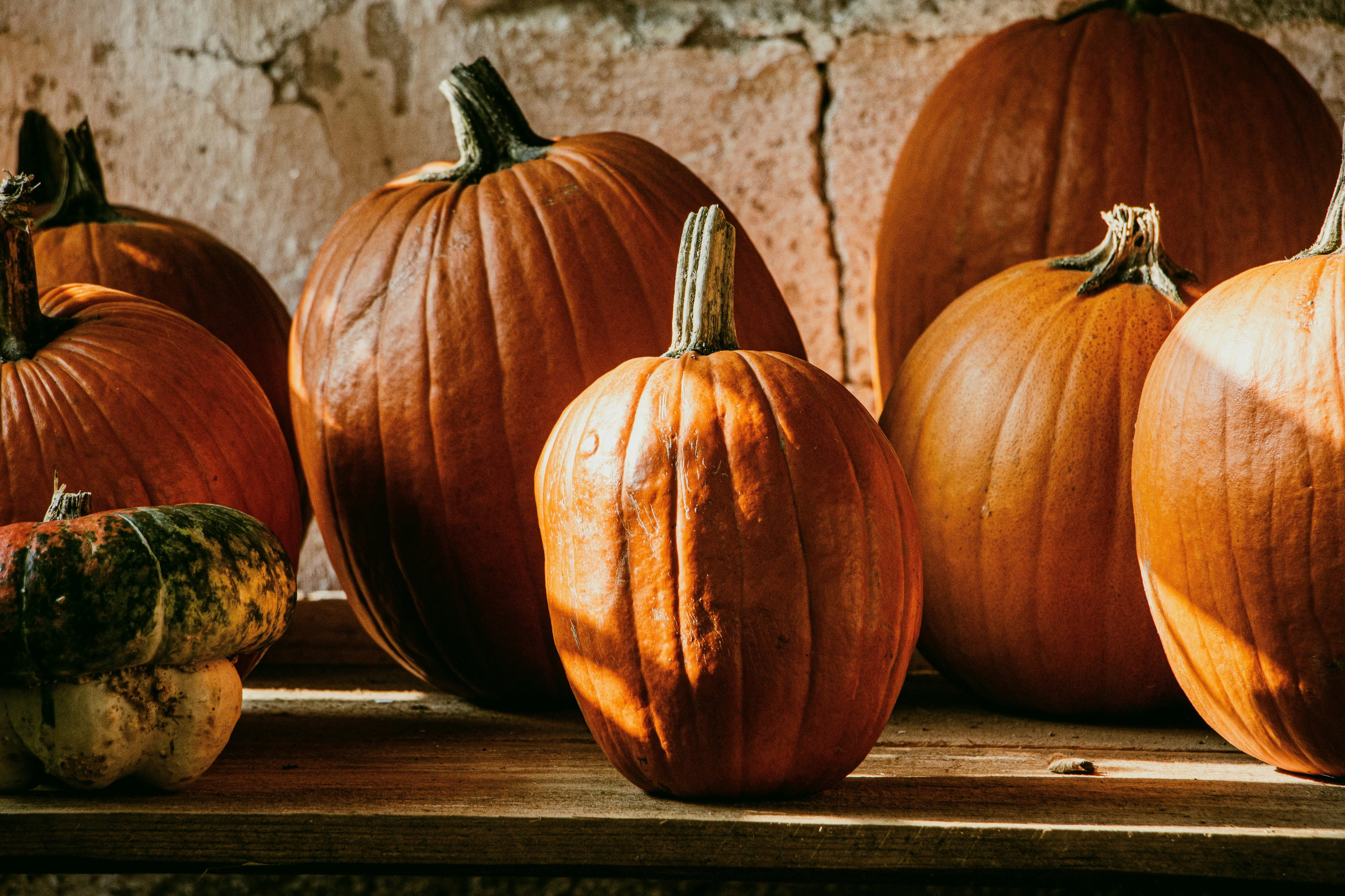 Fresh pumpkins in a rustic setting with natural light casting shadows.