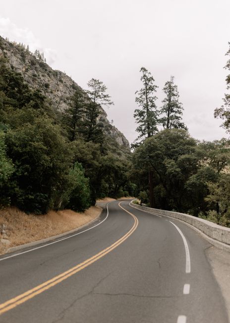 A winding road through lush greenery and mountain landscape in California, USA.