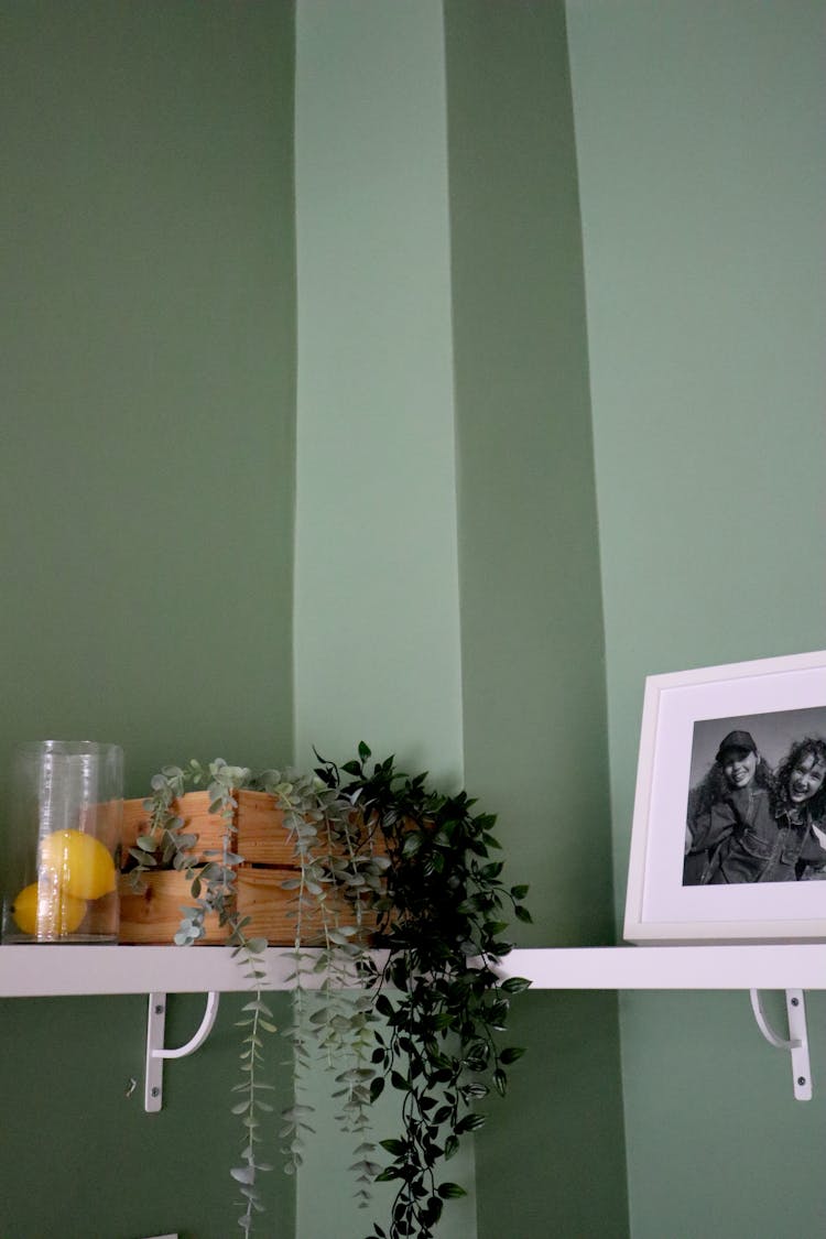 Picture Frame And Plant Box On The Shelf