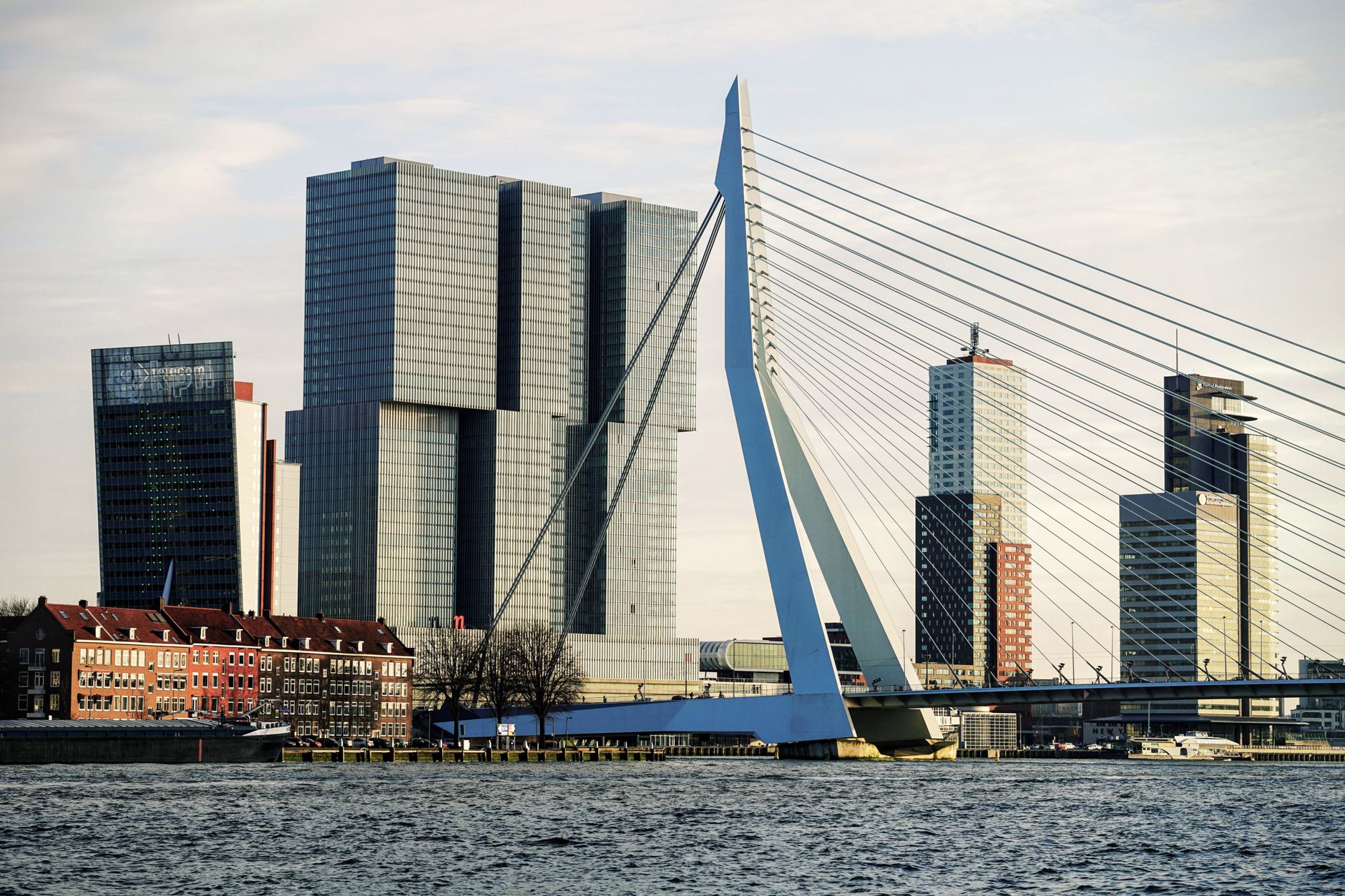 Rotterdam’da Konaklama Bulma ve Kiralama Süreçleri