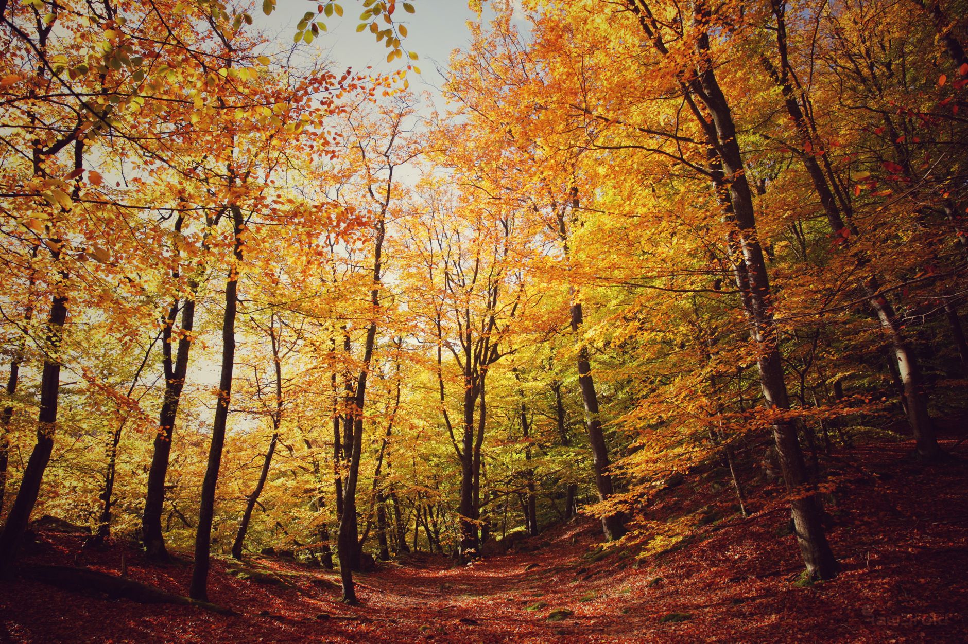The Curraj i Eperm Forest Loop: Perfect for Beginners