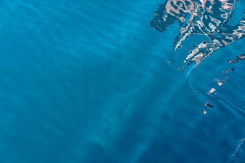 Free Calm and soothing blue water with gentle rippling reflections in a tranquil setting. Stock Photo