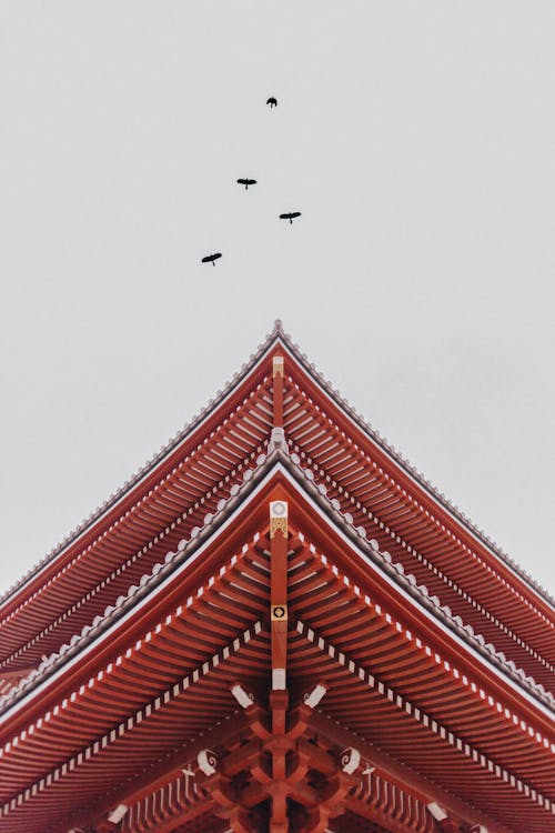 中國建築, 低角度拍攝, 垂直拍攝 的 免費圖庫相片