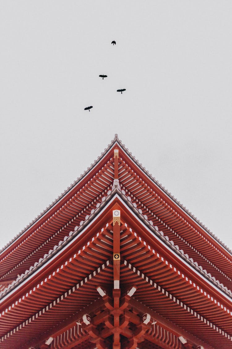 Low Angle View Of A Building 