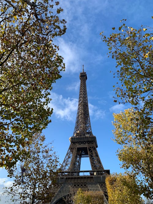 The Eiffel Tower Under the Blue Sky 