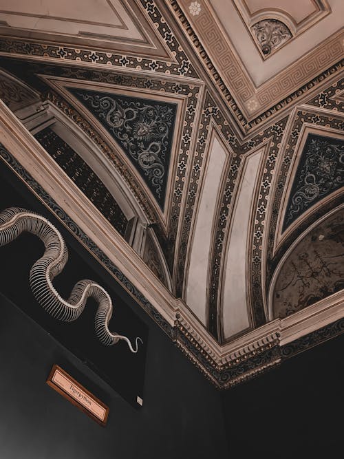 Ornamented, Vintage Ceiling