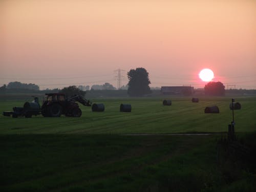 Imagine de stoc gratuită din activități agricole, eveningred, fân