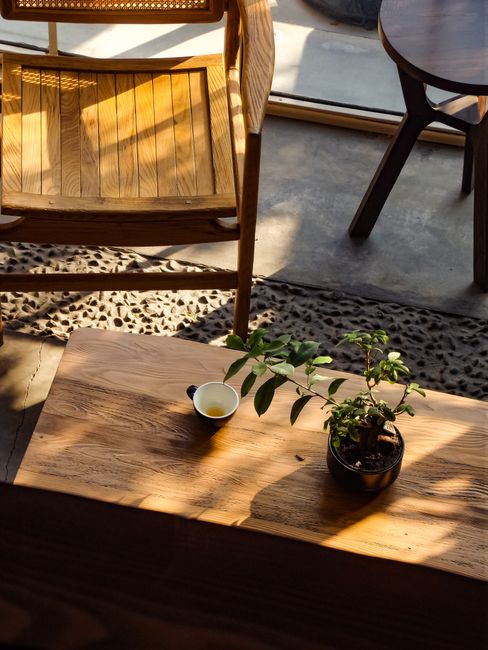 A serene indoor setting with wooden furniture and a potted plant bathed in natural light.