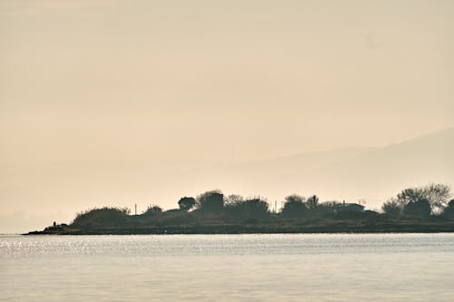 Sea Coast with Village behind