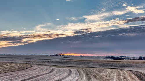 Kostenloses Stock Foto zu außerorts, drohne erschossen, feld